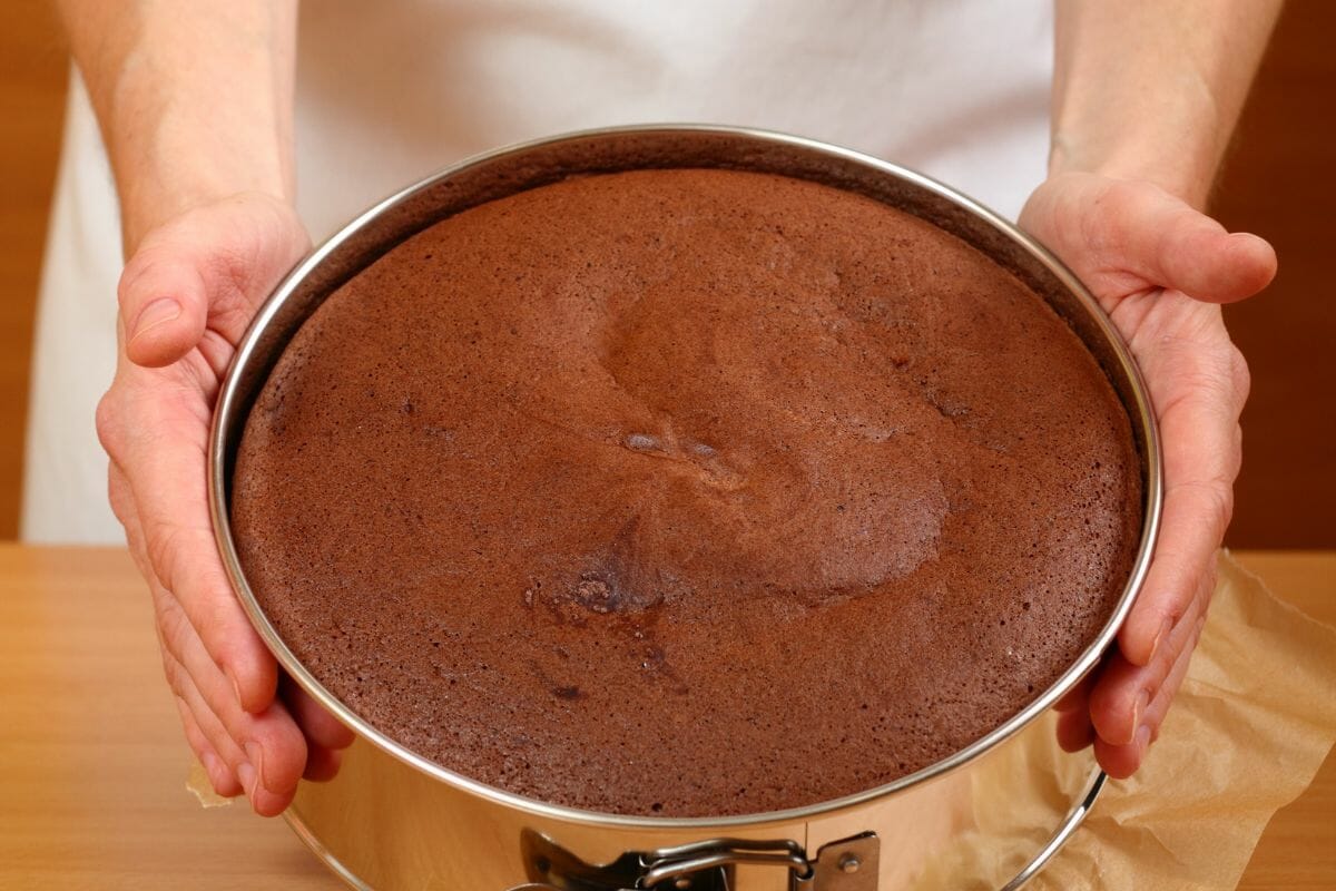 Cake Stuck? Try These 11 Simple Ways to Get it out the Pan