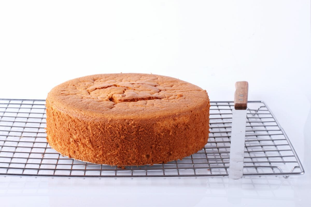 Cooling A Cake Quickly: 5 Super Easy Ideas
